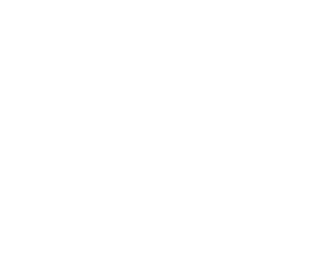 Microterminal Slimterm TCP